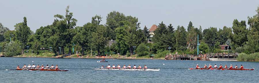 Foto 69/121 (Regatta 2008 beim WRC Donaubund)